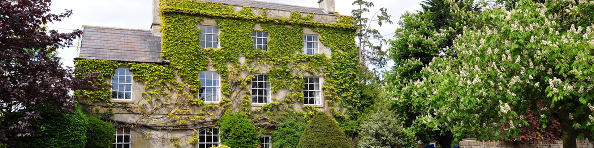 Large house and garden covered in ivy